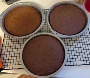 3 round cakes stuck in their pans